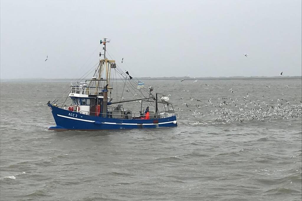 Nordsee Ferienwohnung Fuer 2 Personen Schillig Exterior foto